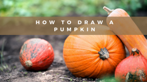 How to draw a pumpkin featured image